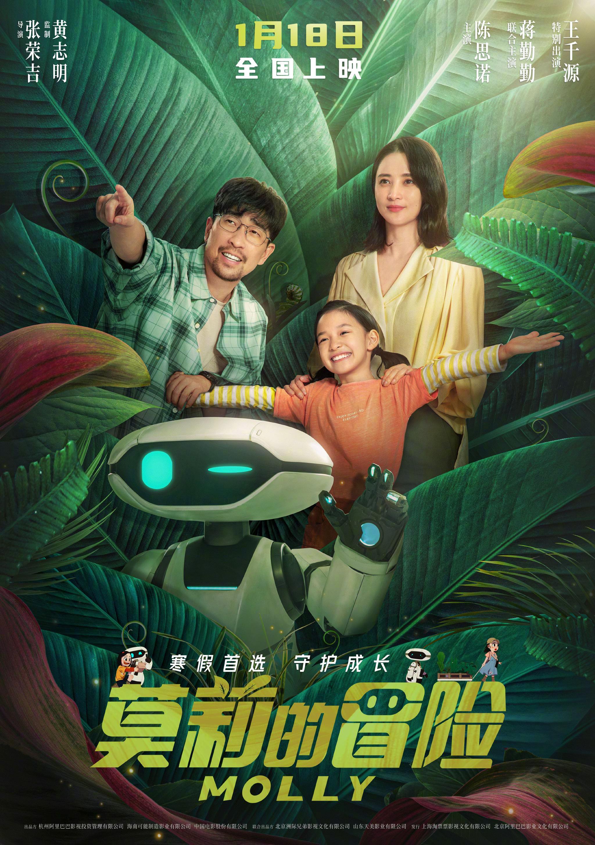 慢热型深夜排片